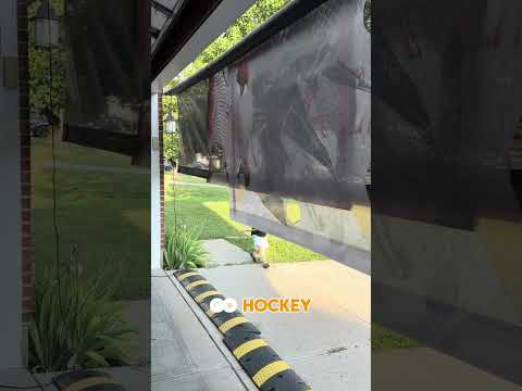 Roedl Hockey Voice Control Hockey SportScreen Video